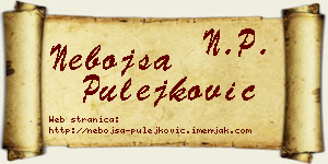 Nebojša Pulejković vizit kartica